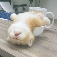 老司机“在线开车”网APP应用